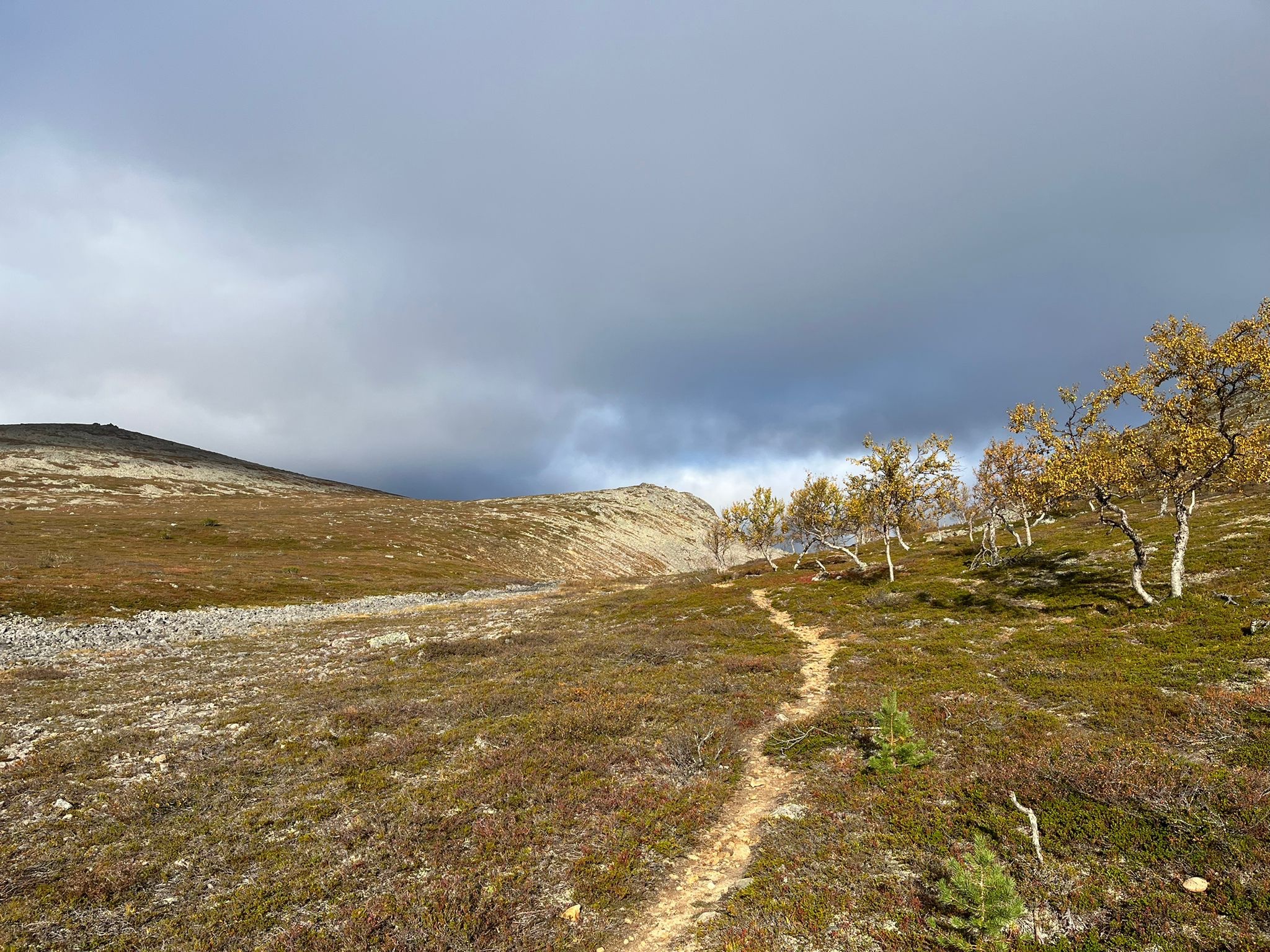 8d1cc063-97b4-49e4-a9a7-b1bfdffa0918